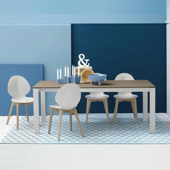 silla basil de madera