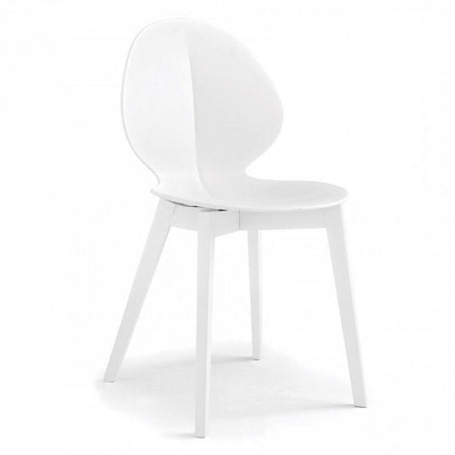 silla basil de madera