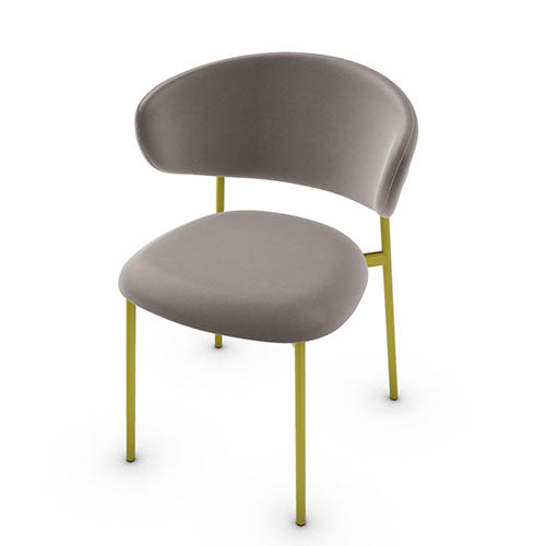 variant silla oleandro