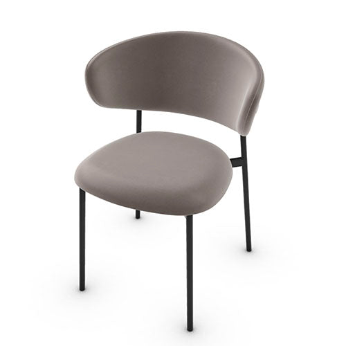variant silla oleandro